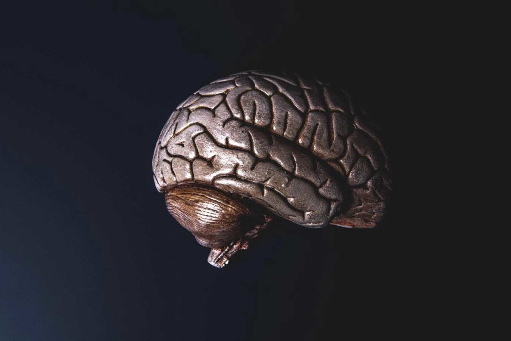 Rappresentazione dettagliata di un cervello in bronzo con i suoi solchi e giri, che risalta su uno sfondo nero.