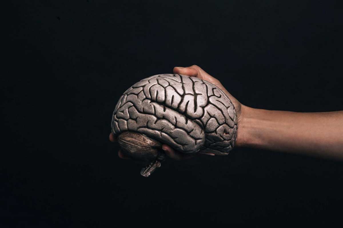 Un cervello umano collegato ad un corpo utile per svelare i segreti della connessione tra neuroscienze e intelligenza artificiale