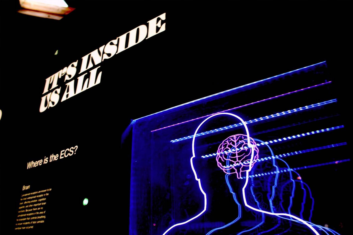 Rappresentazione di una sagoma umana con un cervello in neon, accanto a una scritta bianca che risalta su uno sfondo nero.