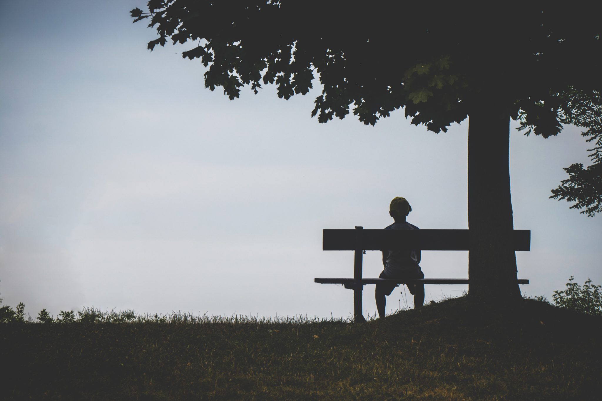 una persona guarda l'orizzonte da sola su una panchina sotto un albero