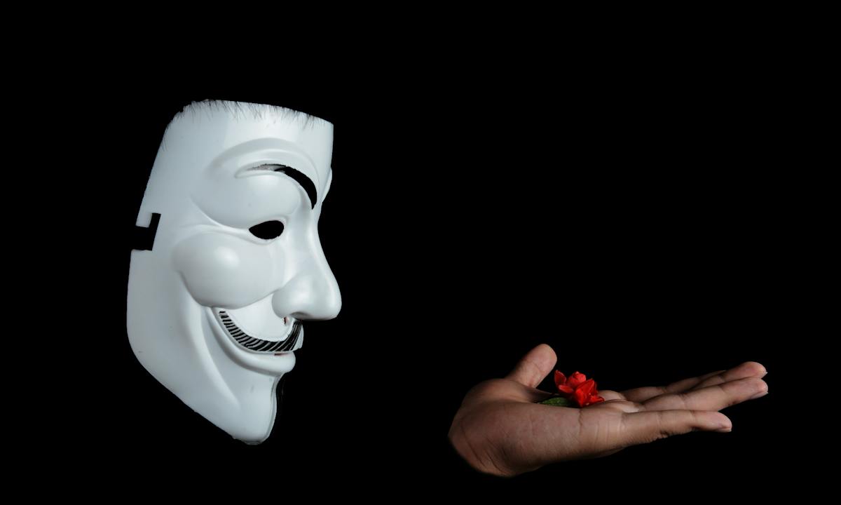 Bondage: un uomo con una maschera di V per Vendetta porge una rosa