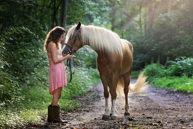 ragazza accarezza un cavallo