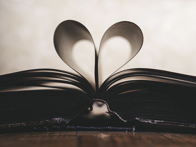 libro aperto con pagine piegate a forma di cuore