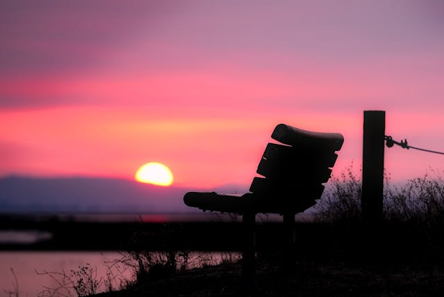 panchina solitaria in paesaggio naturale all'alba