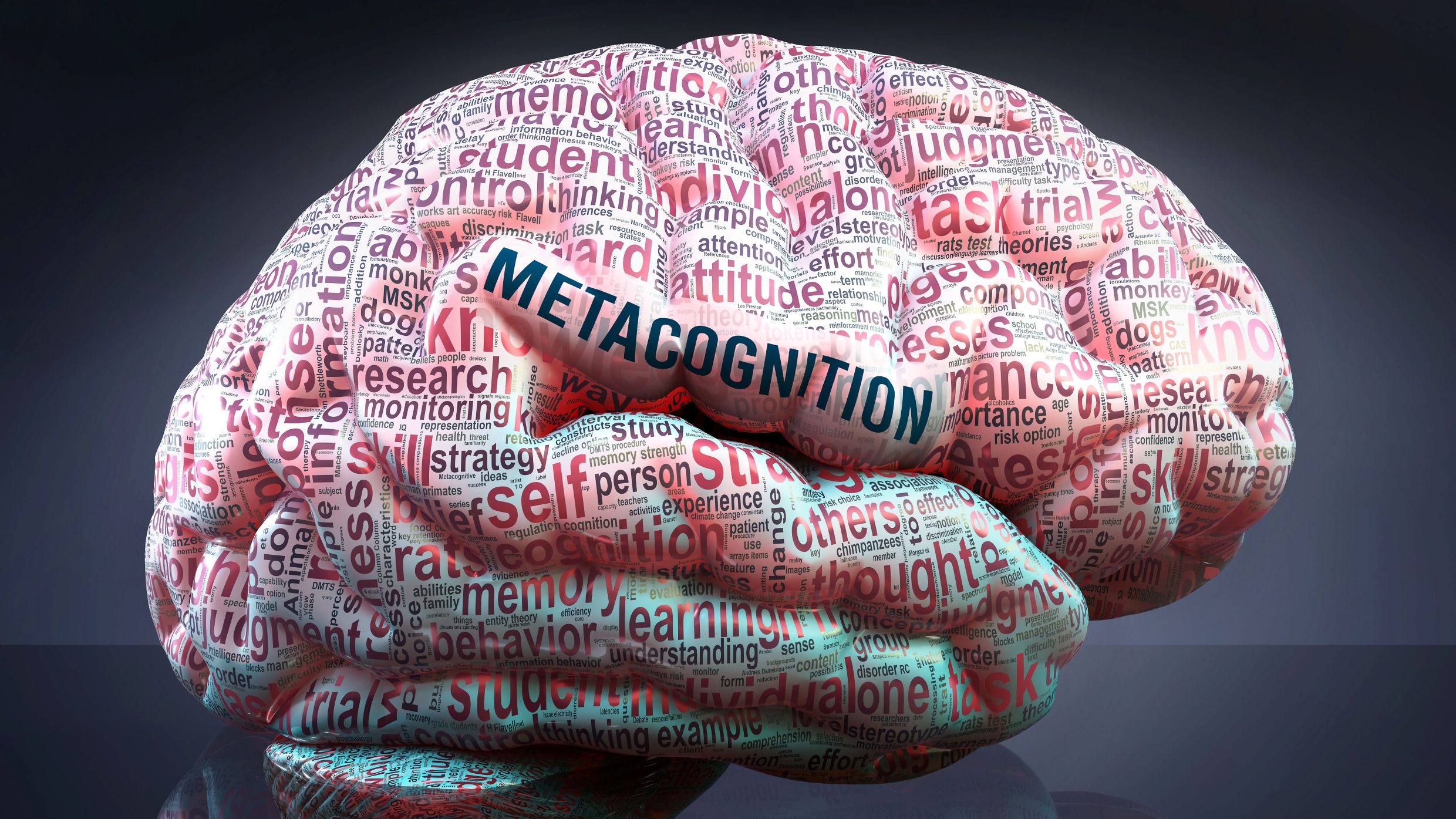 metacognizione