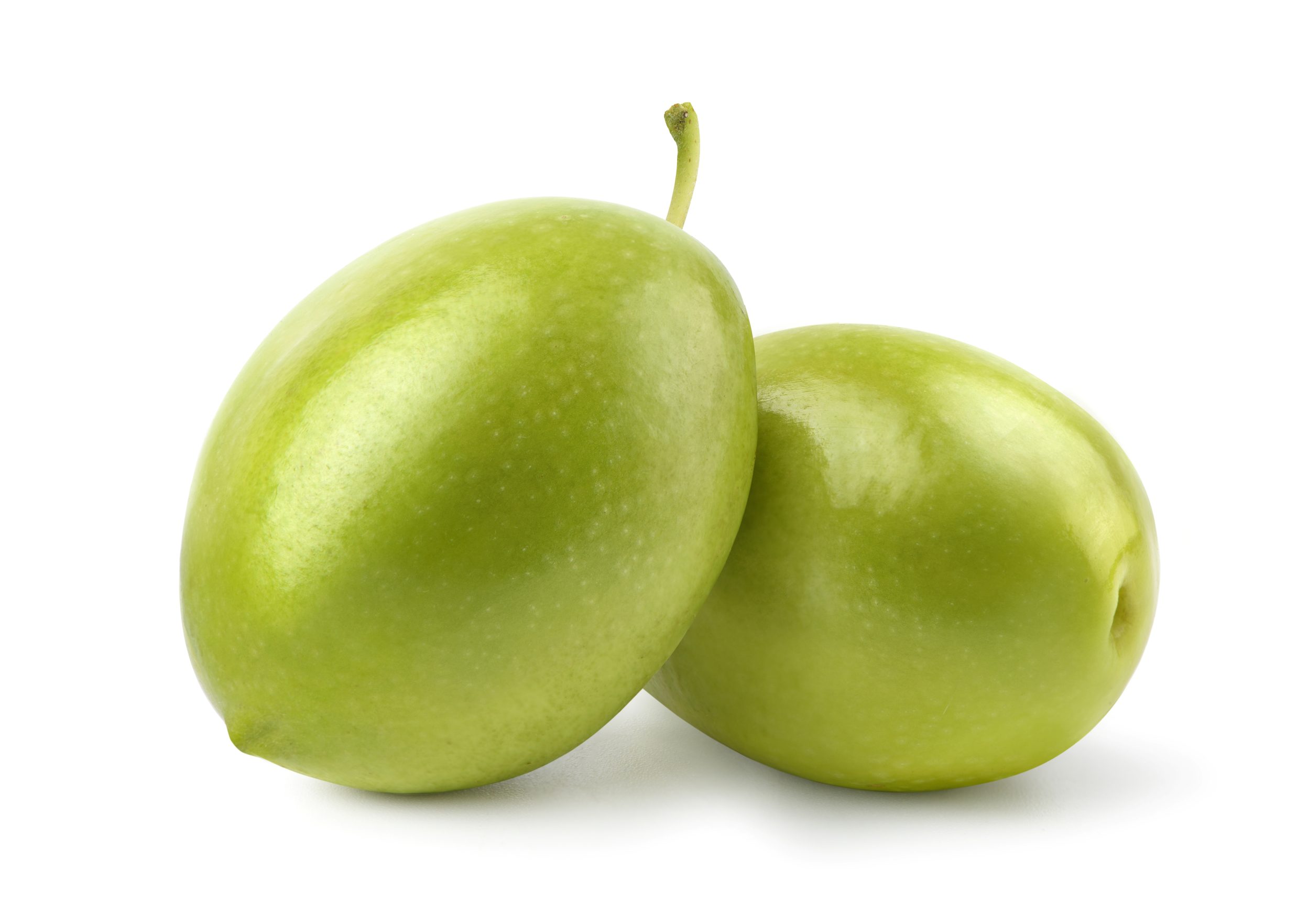 teoria delle olive