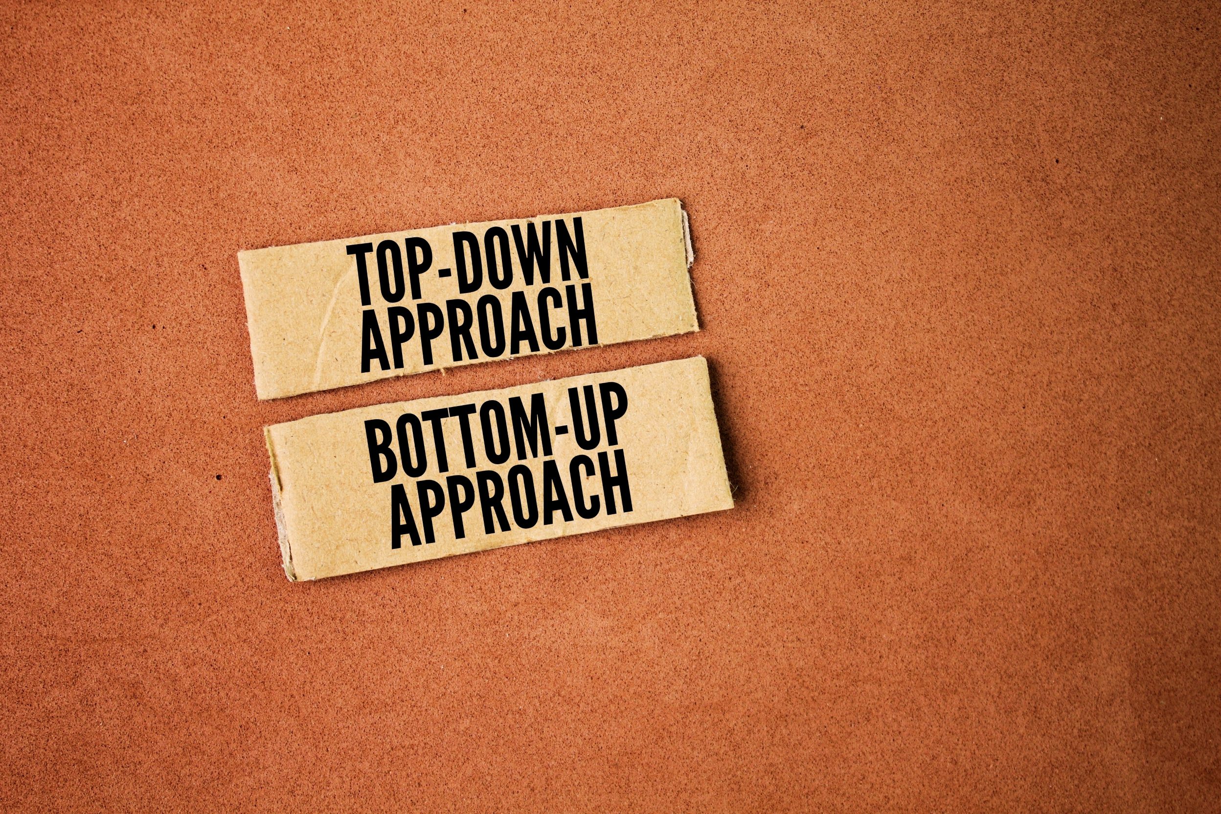 top down e bottom up