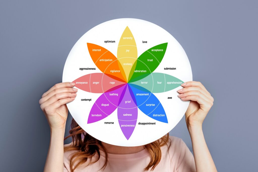 ruota delle emozioni