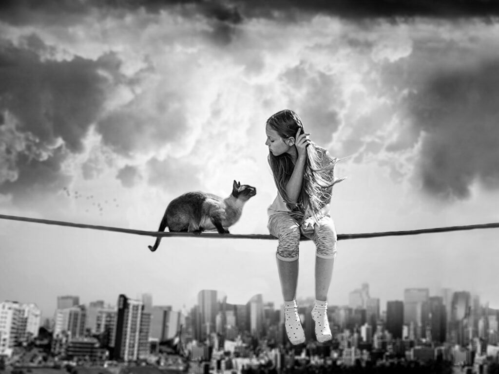 sognare animali